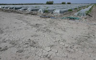 Sécheresse : l’usage de l’eau restreint dans le Gard