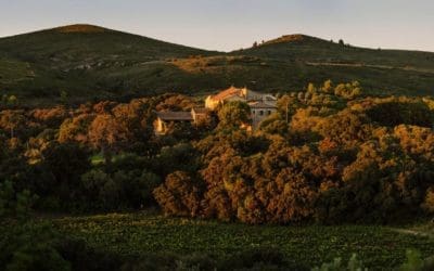 Le leader français des vins de terroir AdVini cherche à s’étendre en Europe